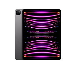 Apple iPad Pro 13" 256 GB MVXR3HC/A - Space Gray